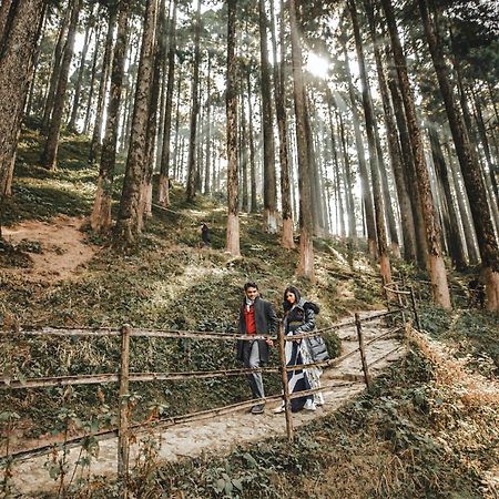 Singtom Tea Estate & Resort Darjeeling  Luaran gambar