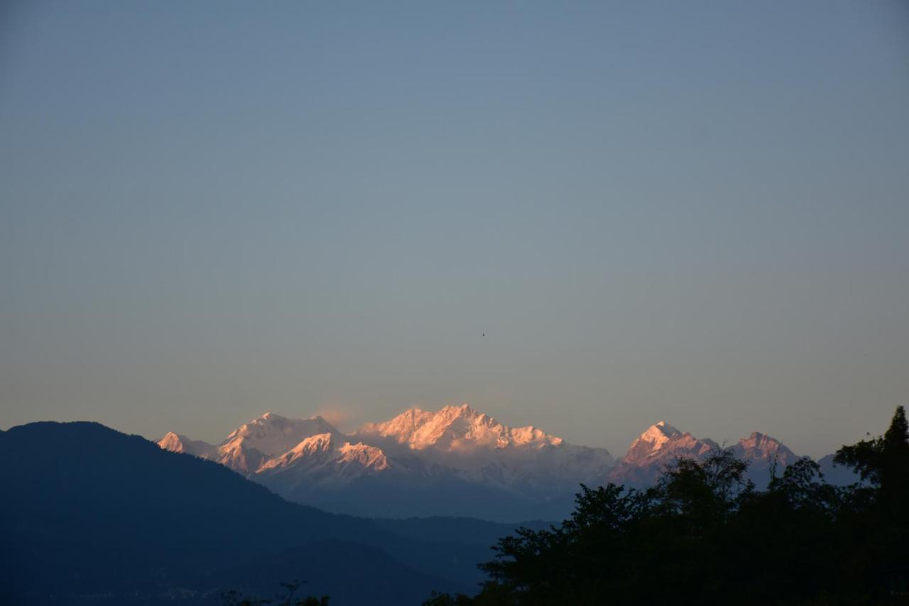 Singtom Tea Estate & Resort Darjeeling  Luaran gambar