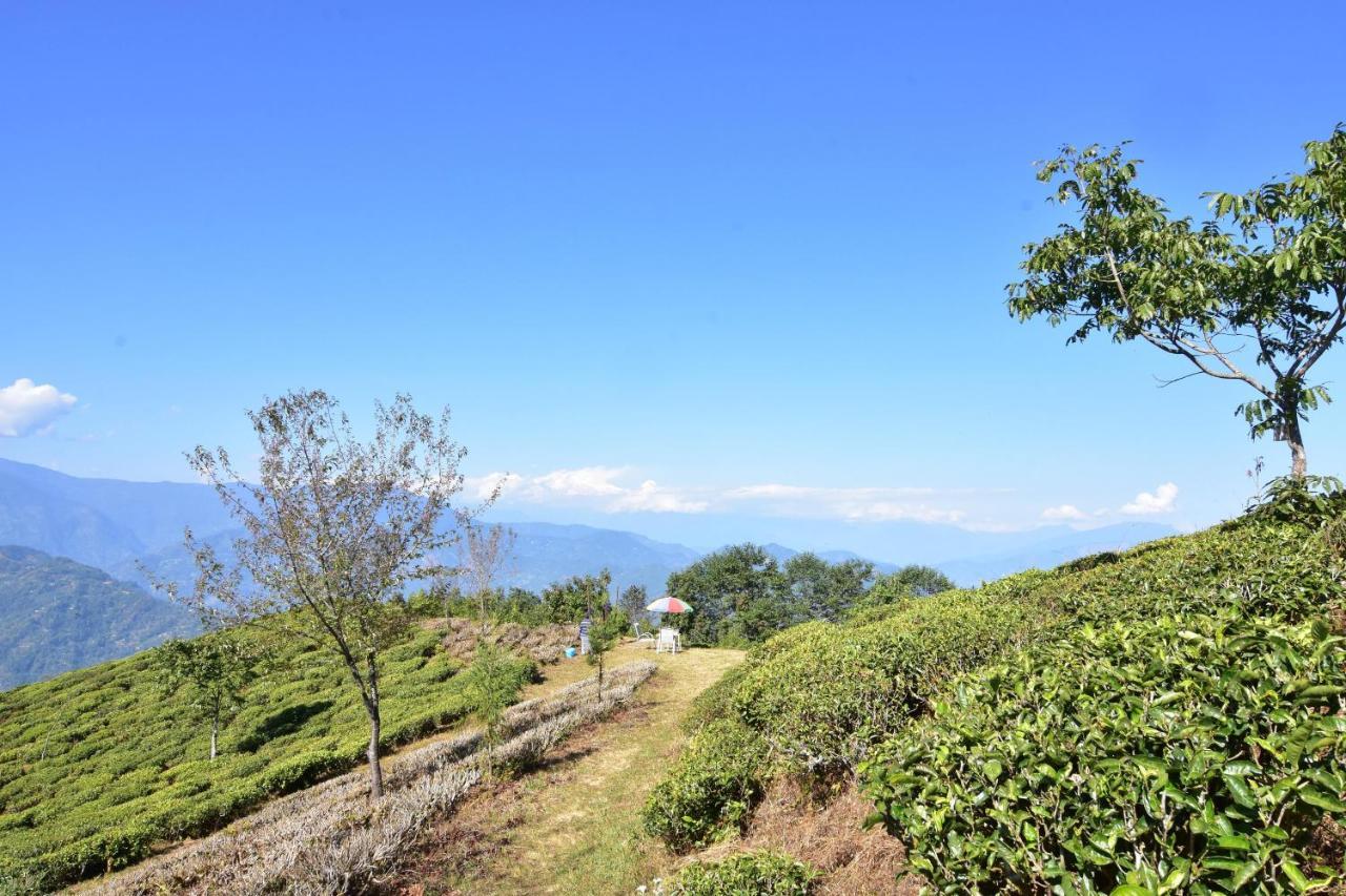 Singtom Tea Estate & Resort Darjeeling  Luaran gambar