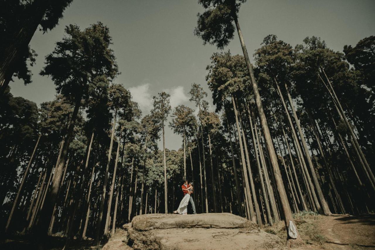 Singtom Tea Estate & Resort Darjeeling  Luaran gambar