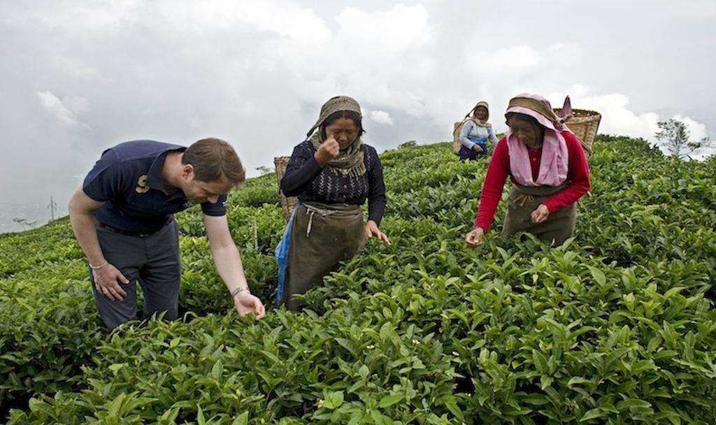 Singtom Tea Estate & Resort Darjeeling  Luaran gambar